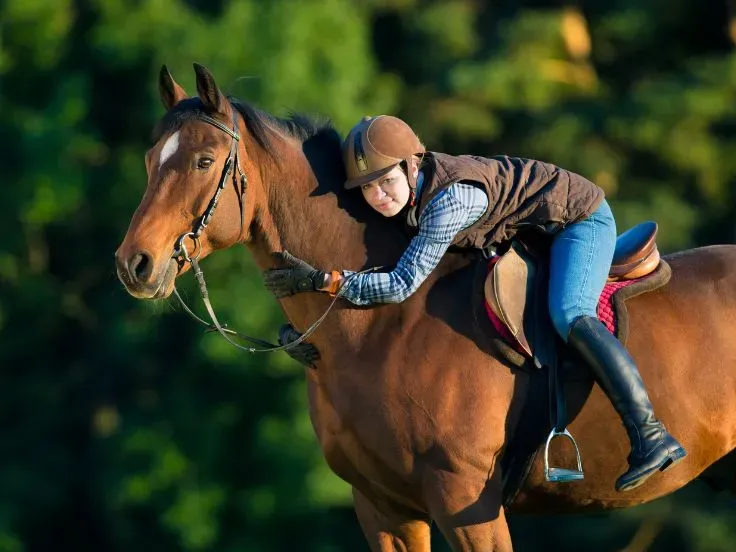 Bien-être animal près de Bétheny