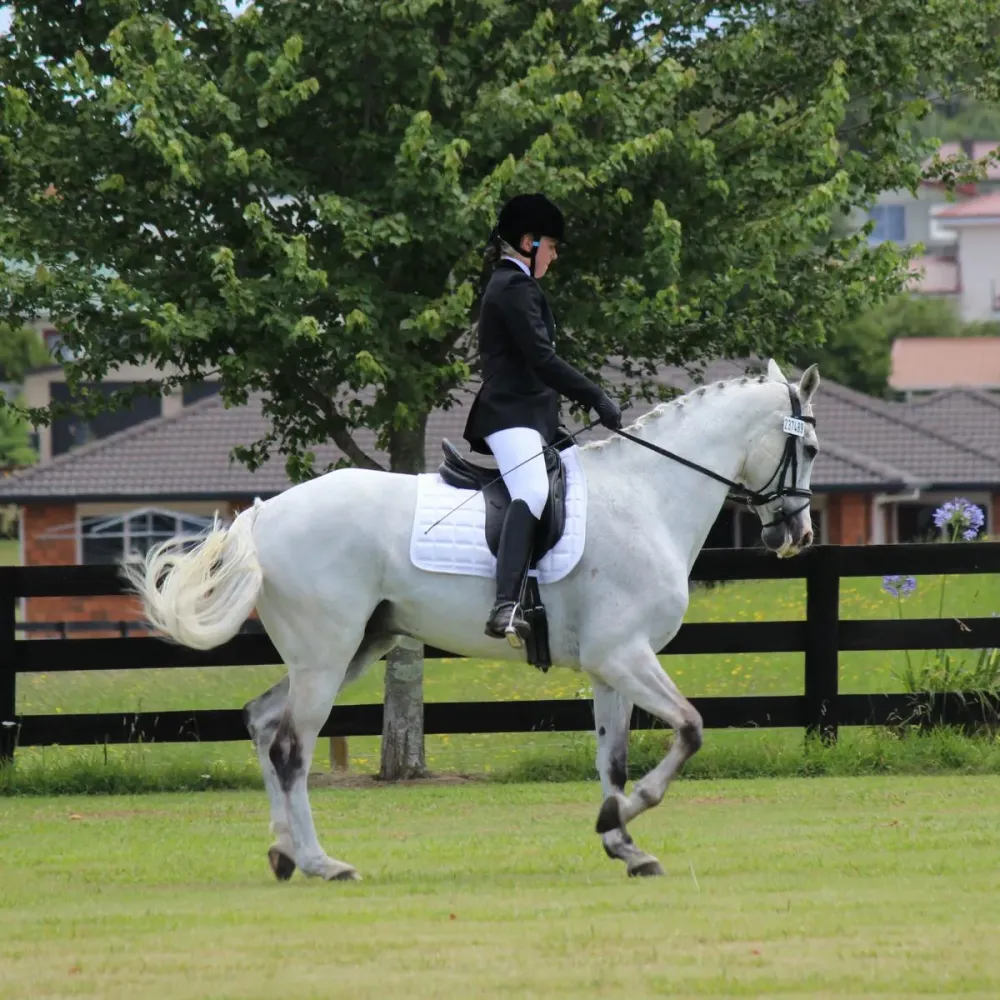 Cours d'équitation près de Bétheny