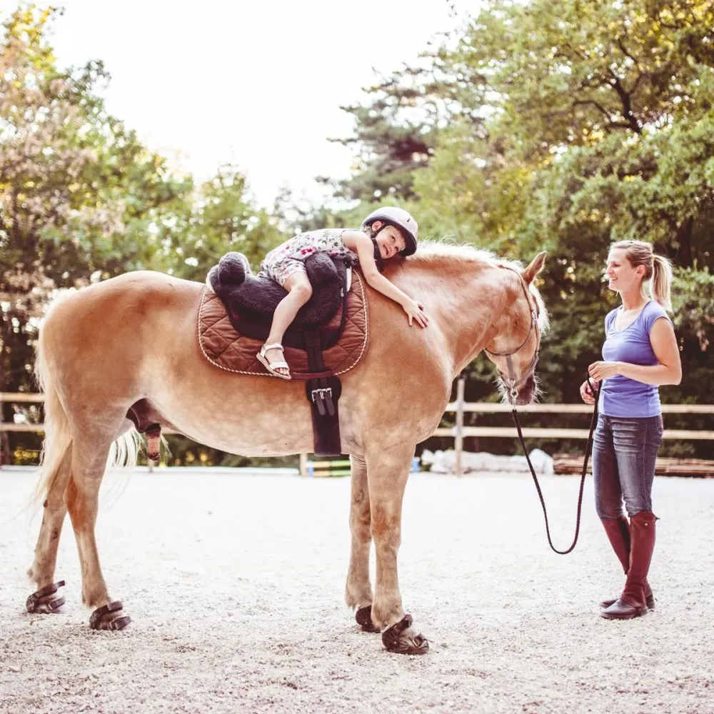 Cours d'équitation pour débutants près de Bétheny