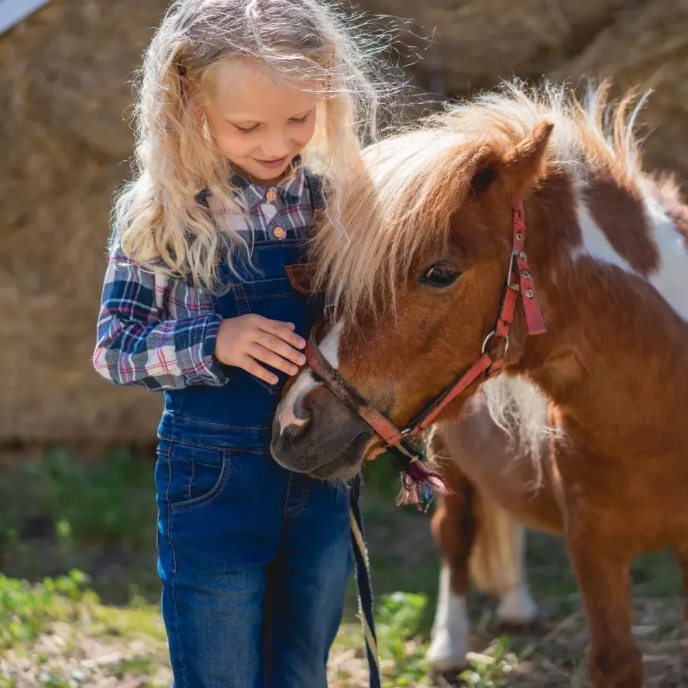 Initiation poney près de Bétheny