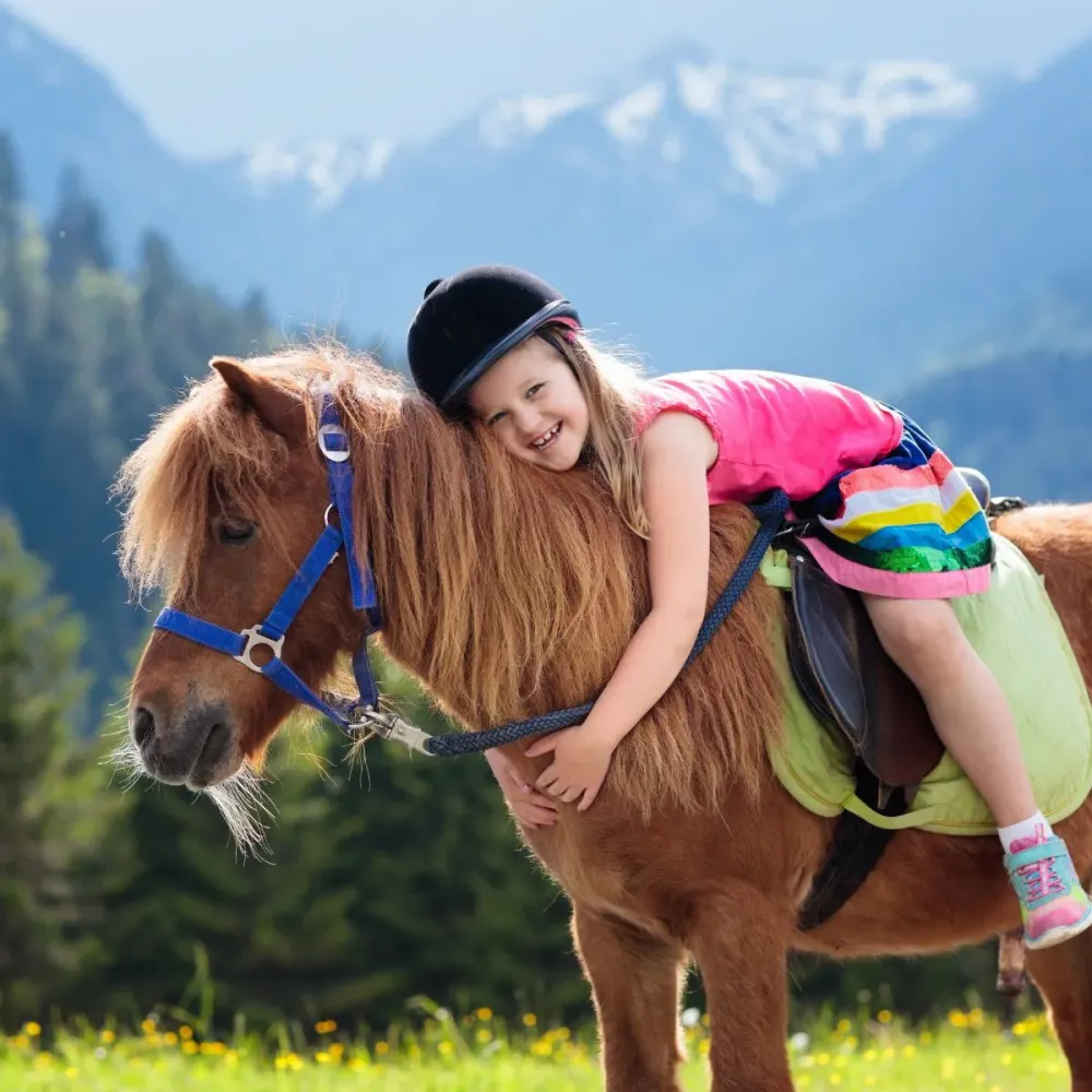 Equitation pour débutants près de Bétheny