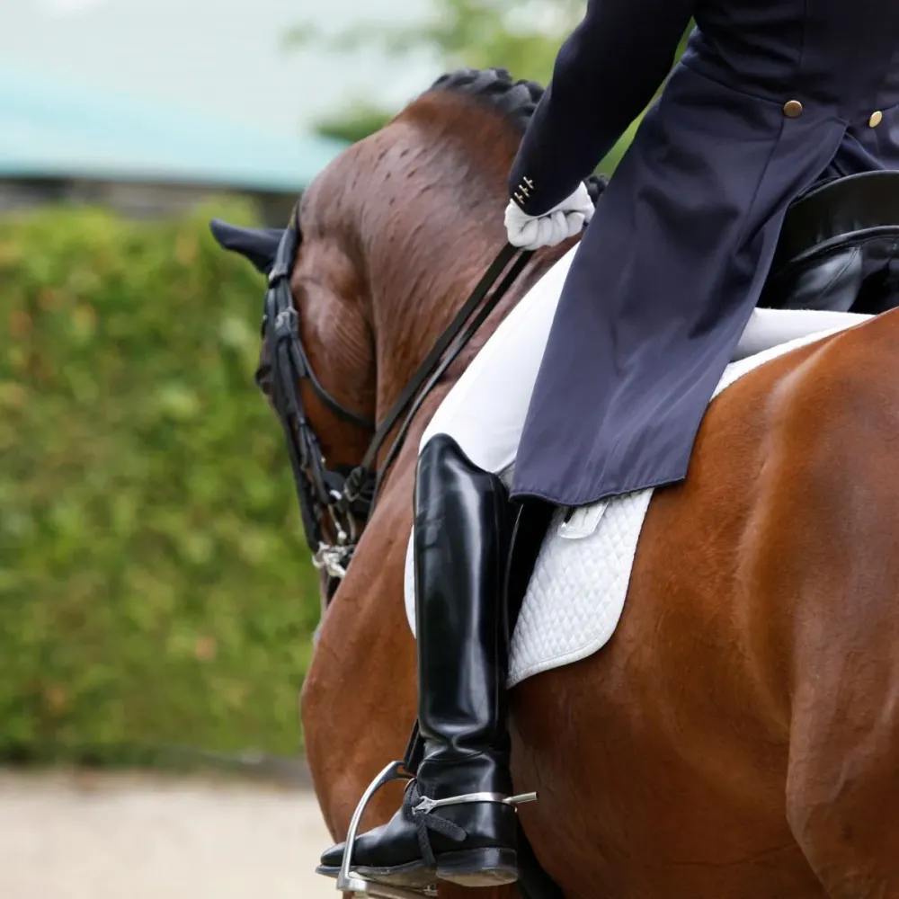 Equitation loisir