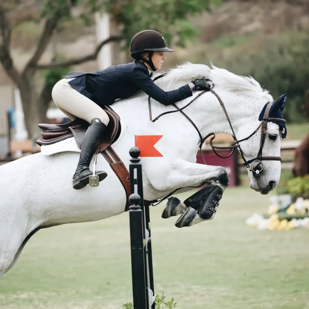 Equitation concours près de Bétheny